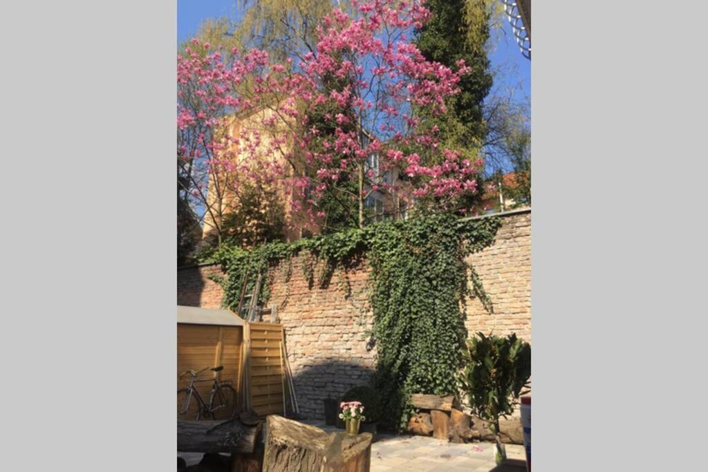Beautiful Backyard Remise Apartment Берлин Екстериор снимка